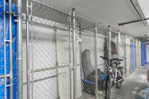 1106-298 Sage Meadows Park Nw, Calgary, AB - Indoor With Storage