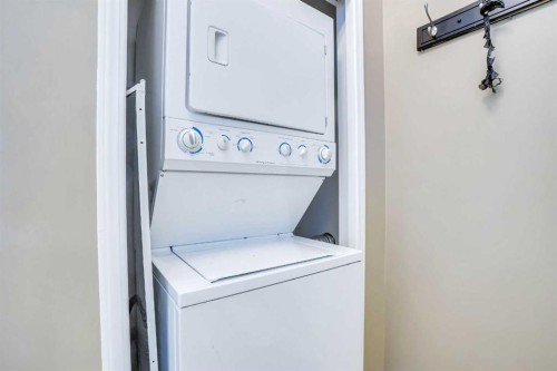 54 Taracove Road Ne, Calgary, AB - Indoor Photo Showing Laundry Room