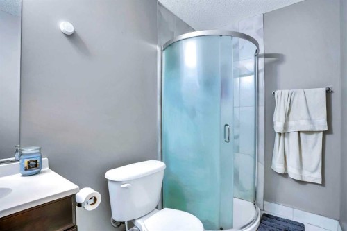 54 Taracove Road Ne, Calgary, AB - Indoor Photo Showing Bathroom