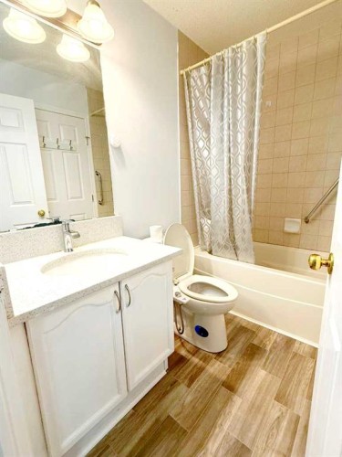 54 Taracove Road Ne, Calgary, AB - Indoor Photo Showing Bathroom