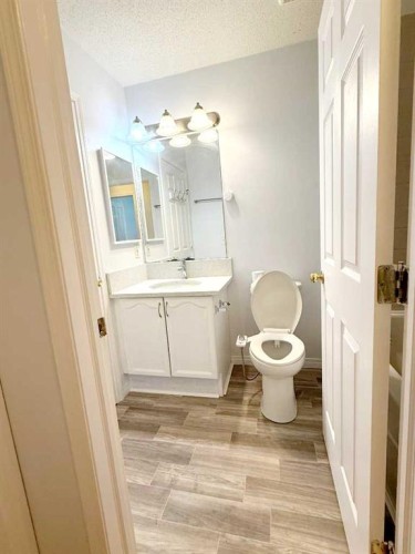 54 Taracove Road Ne, Calgary, AB - Indoor Photo Showing Bathroom