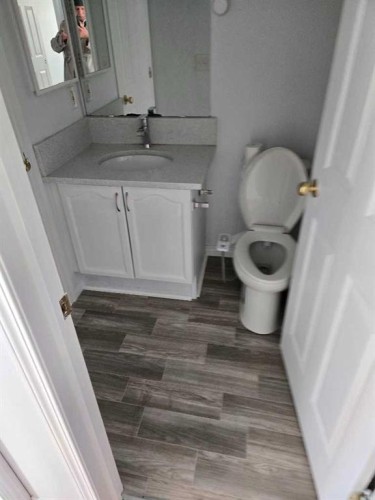 54 Taracove Road Ne, Calgary, AB - Indoor Photo Showing Bathroom