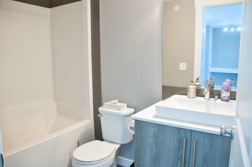 5407-302 Skyview Ranch Drive Ne, Calgary, AB - Indoor Photo Showing Bathroom