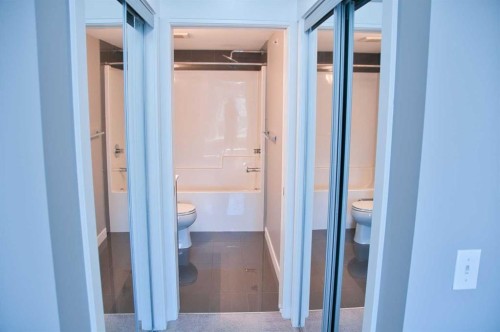 5407-302 Skyview Ranch Drive Ne, Calgary, AB - Indoor Photo Showing Bathroom