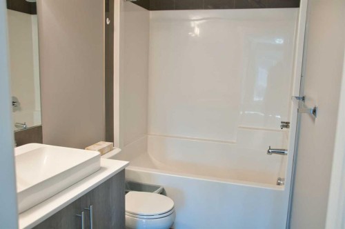 5407-302 Skyview Ranch Drive Ne, Calgary, AB - Indoor Photo Showing Bathroom