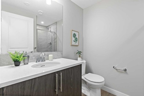 943 Legacy Circle Se, Calgary, AB - Indoor Photo Showing Bathroom