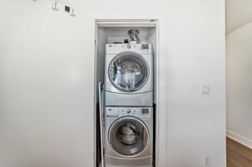 423-619 Confluence Way Se, Calgary, AB - Indoor Photo Showing Laundry Room
