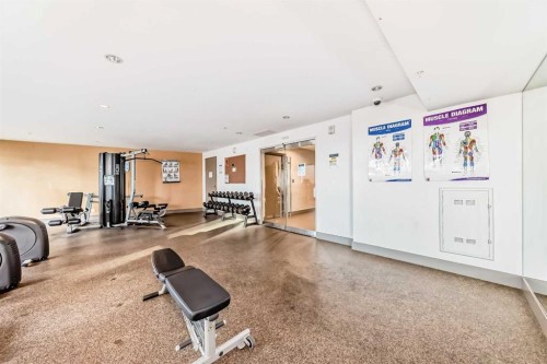 423-619 Confluence Way Se, Calgary, AB - Indoor Photo Showing Gym Room