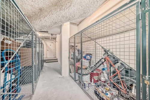423-619 Confluence Way Se, Calgary, AB - Indoor With Storage