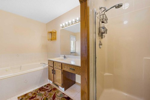 91 Coral Springs Boulevard Ne, Calgary, AB - Indoor Photo Showing Bathroom