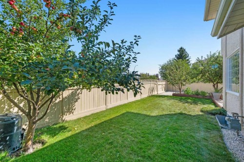 91 Coral Springs Boulevard Ne, Calgary, AB - Outdoor With Backyard