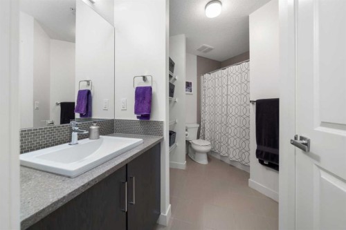 34-25 Auburn Meadows Avenue Se, Calgary, AB - Indoor Photo Showing Bathroom