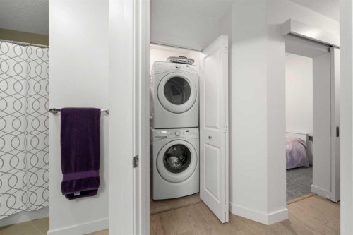 34-25 Auburn Meadows Avenue Se, Calgary, AB - Indoor Photo Showing Laundry Room