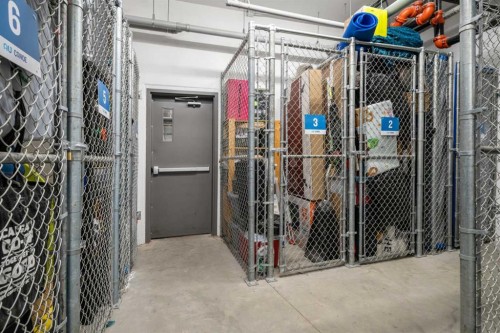34-25 Auburn Meadows Avenue Se, Calgary, AB - Indoor With Storage