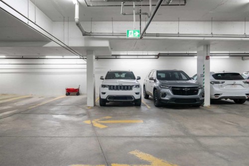 34-25 Auburn Meadows Avenue Se, Calgary, AB - Indoor Photo Showing Garage