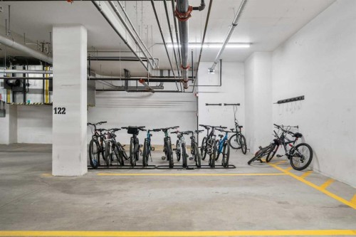 34-25 Auburn Meadows Avenue Se, Calgary, AB - Indoor Photo Showing Garage