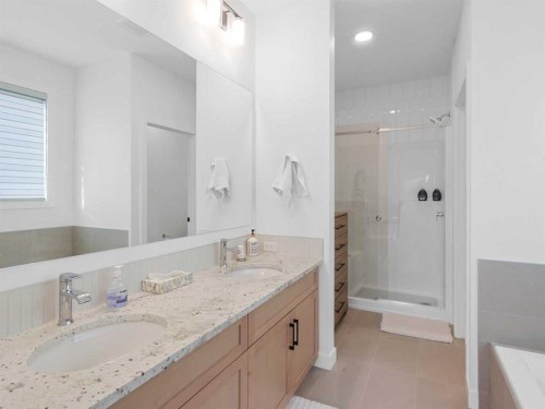 110 Sunstone Way, Balzac, AB - Indoor Photo Showing Bathroom