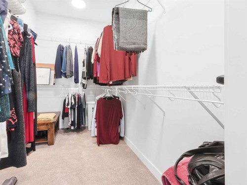 110 Sunstone Way, Balzac, AB - Indoor With Storage