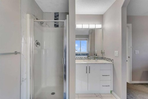 228 Covemeadow Court Ne, Calgary, AB - Indoor Photo Showing Bathroom