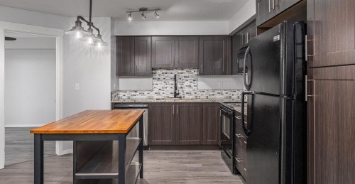 4106-99 Copperstone Park Se, Calgary, AB - Indoor Photo Showing Kitchen With Double Sink