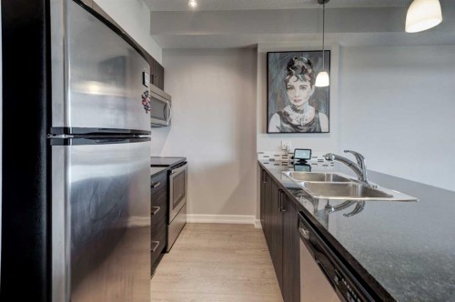 401-117 Copperpond Common Se, Calgary, AB - Indoor Photo Showing Kitchen With Stainless Steel Kitchen With Double Sink With Upgraded Kitchen