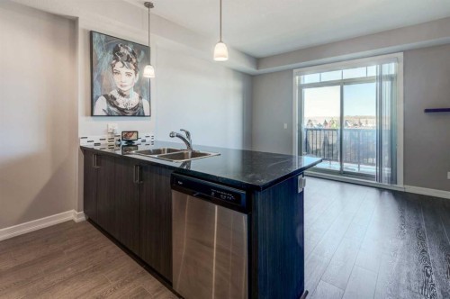 401-117 Copperpond Common Se, Calgary, AB - Indoor Photo Showing Kitchen With Double Sink