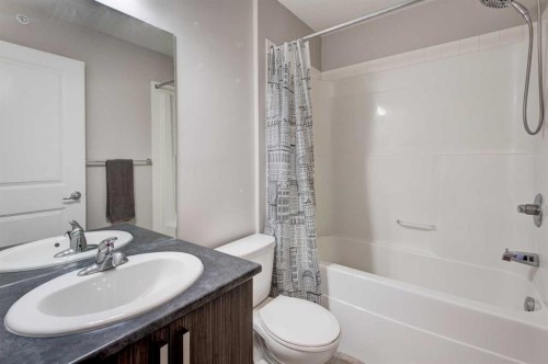 401-117 Copperpond Common Se, Calgary, AB - Indoor Photo Showing Bathroom
