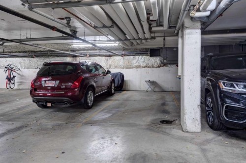 401-117 Copperpond Common Se, Calgary, AB - Indoor Photo Showing Garage
