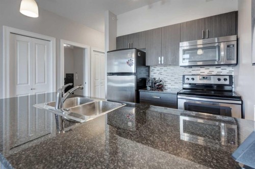 401-117 Copperpond Common Se, Calgary, AB - Indoor Photo Showing Kitchen With Stainless Steel Kitchen With Double Sink