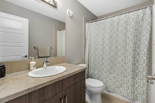 124 Red Embers Crescent Ne, Calgary, AB - Indoor Photo Showing Bathroom