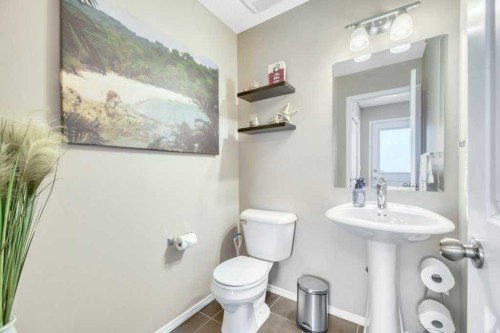 12 Skyview Point Crescent Ne, Calgary, AB - Indoor Photo Showing Bathroom