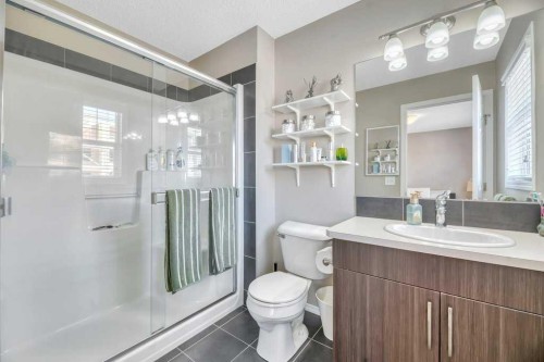12 Skyview Point Crescent Ne, Calgary, AB - Indoor Photo Showing Bathroom