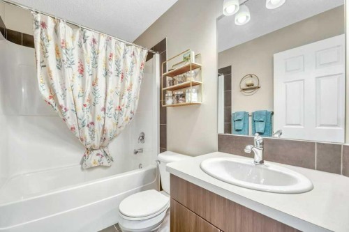 12 Skyview Point Crescent Ne, Calgary, AB - Indoor Photo Showing Bathroom