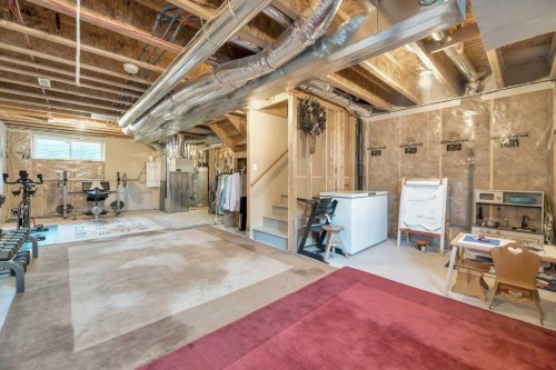 12 Skyview Point Crescent Ne, Calgary, AB - Indoor Photo Showing Basement
