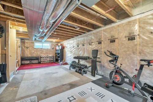 12 Skyview Point Crescent Ne, Calgary, AB - Indoor Photo Showing Basement