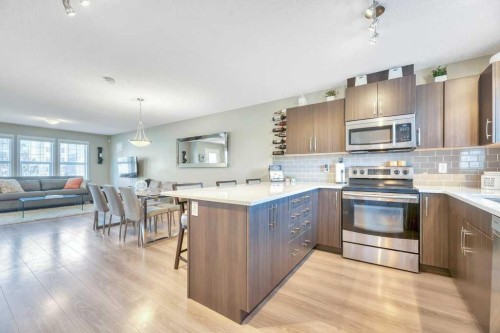 12 Skyview Point Crescent Ne, Calgary, AB - Indoor Photo Showing Kitchen With Stainless Steel Kitchen With Upgraded Kitchen