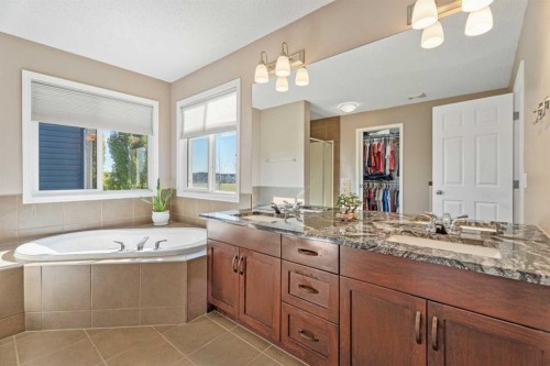 106 Copperstone Close Se, Calgary, AB - Indoor Photo Showing Bathroom