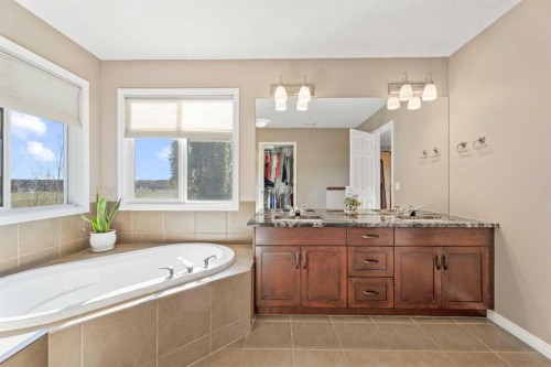 106 Copperstone Close Se, Calgary, AB - Indoor Photo Showing Bathroom