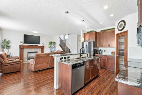 106 Copperstone Close Se, Calgary, AB - Indoor Photo Showing Kitchen With Fireplace With Upgraded Kitchen