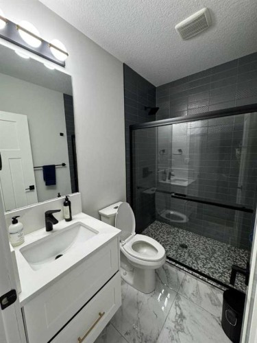 39 Whitlock Close Ne, Calgary, AB - Indoor Photo Showing Bathroom
