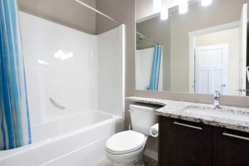 107 Evanston Manor Nw, Calgary, AB - Indoor Photo Showing Bathroom