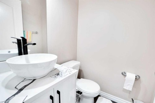 3 Saddleland Crescent Ne, Calgary, AB - Indoor Photo Showing Bathroom