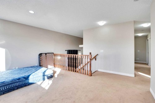 3 Saddleland Crescent Ne, Calgary, AB - Indoor