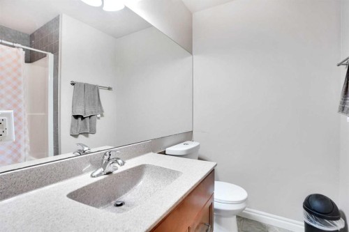 3 Saddleland Crescent Ne, Calgary, AB - Indoor Photo Showing Bathroom