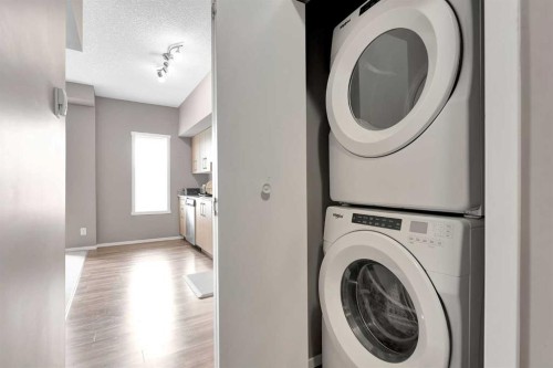 1609-4641 128 Avenue Ne, Calgary, AB - Indoor Photo Showing Laundry Room
