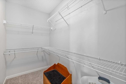232 Copperpond Parade Se, Calgary, AB - Indoor With Storage