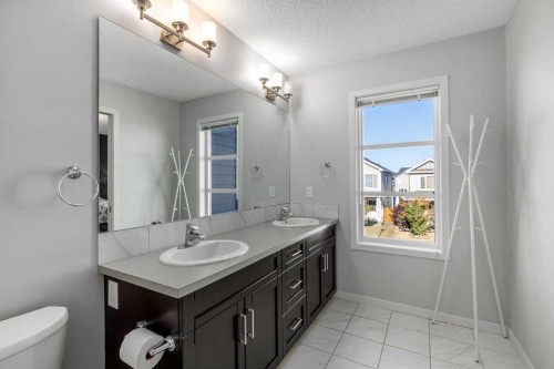 232 Copperpond Parade Se, Calgary, AB - Indoor Photo Showing Bathroom