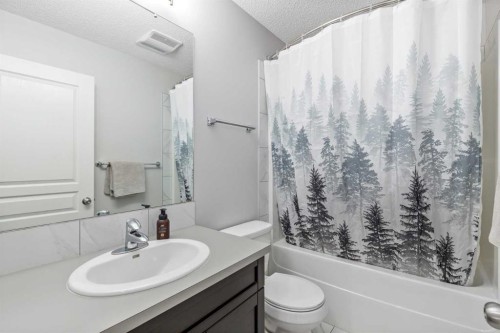 232 Copperpond Parade Se, Calgary, AB - Indoor Photo Showing Bathroom