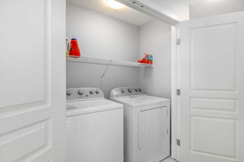 232 Copperpond Parade Se, Calgary, AB - Indoor Photo Showing Laundry Room