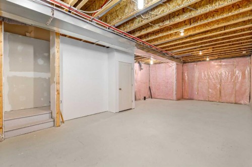 232 Copperpond Parade Se, Calgary, AB - Indoor Photo Showing Basement